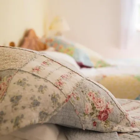 Bed and breakfast Shannon Breeze