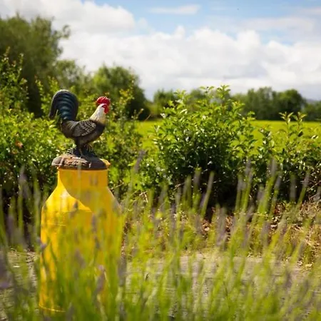 Shannon Breeze Killaloe