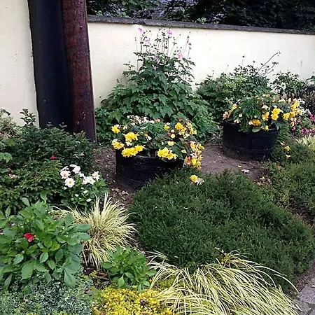 Bed and breakfast Shannon Breeze Killaloe