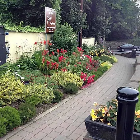 Bed and breakfast Shannon Breeze