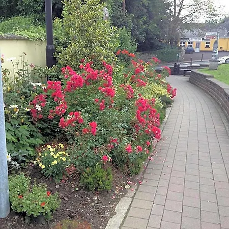 Shannon Breeze Killaloe