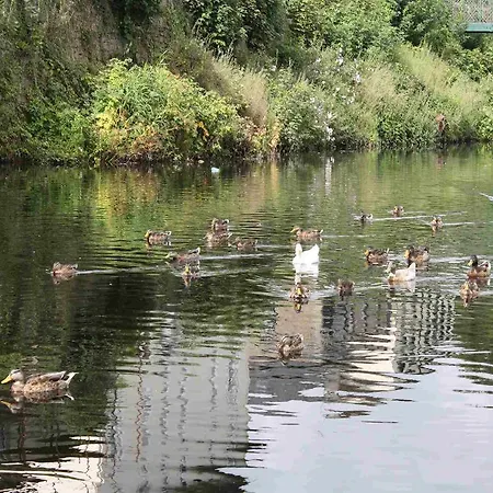 Bed and Breakfast Shannon Breeze