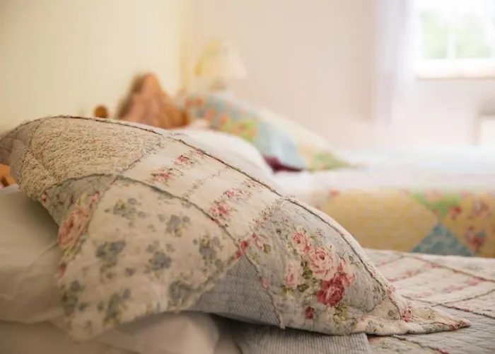 Bed & Breakfast Shannon Breeze