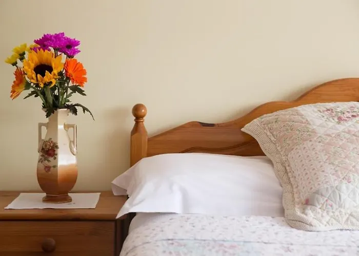 Shannon Breeze Killaloe