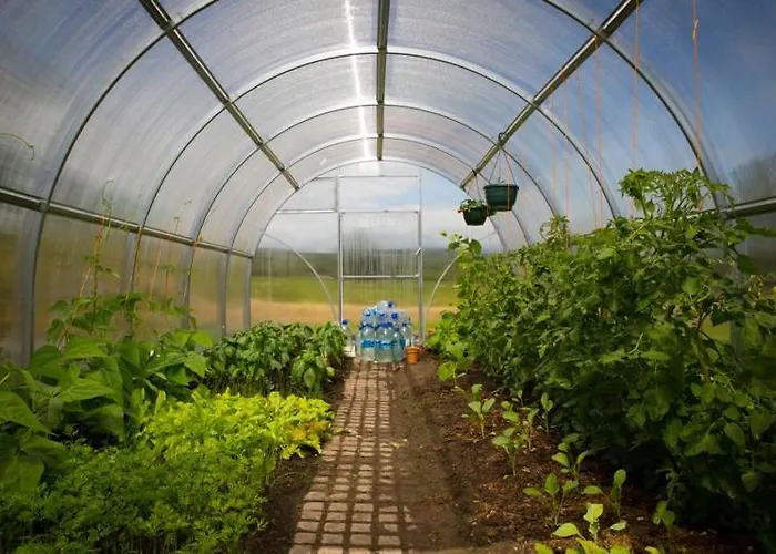 Bed & Breakfast Shannon Breeze