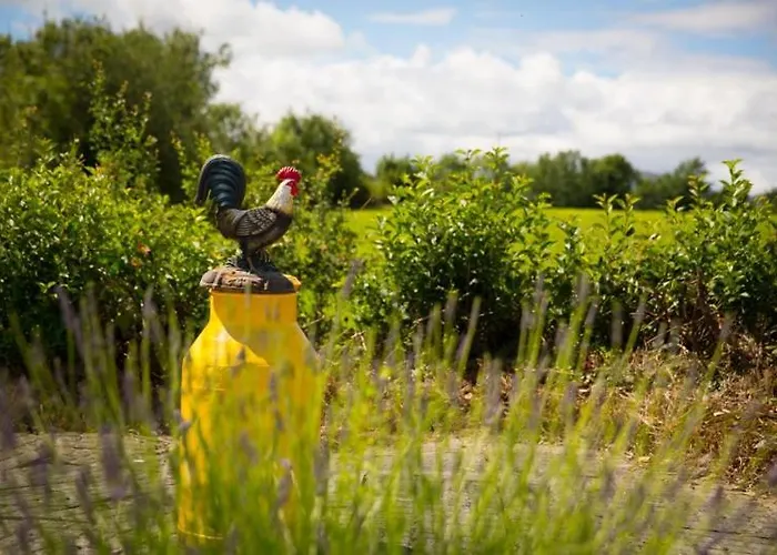 Shannon Breeze Killaloe