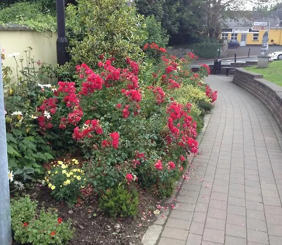 Shannon Breeze Bed & Breakfast 4*