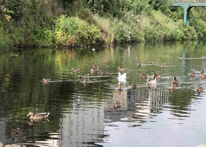 Bed & Breakfast Shannon Breeze